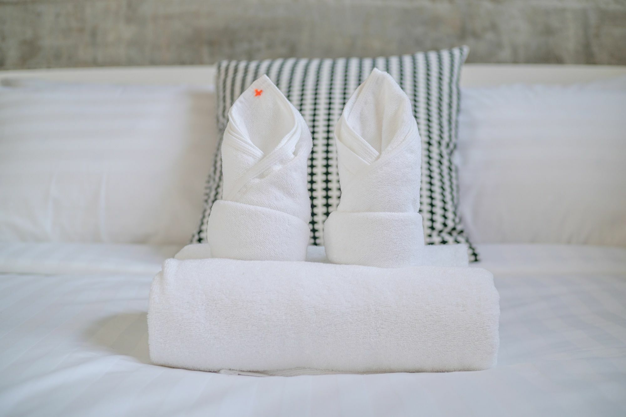 Zen Hostel Chiangmai Τσιάνγκ Μάι Εξωτερικό φωτογραφία